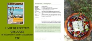 livre de recettes grecques cuisine grecque 80 recettes